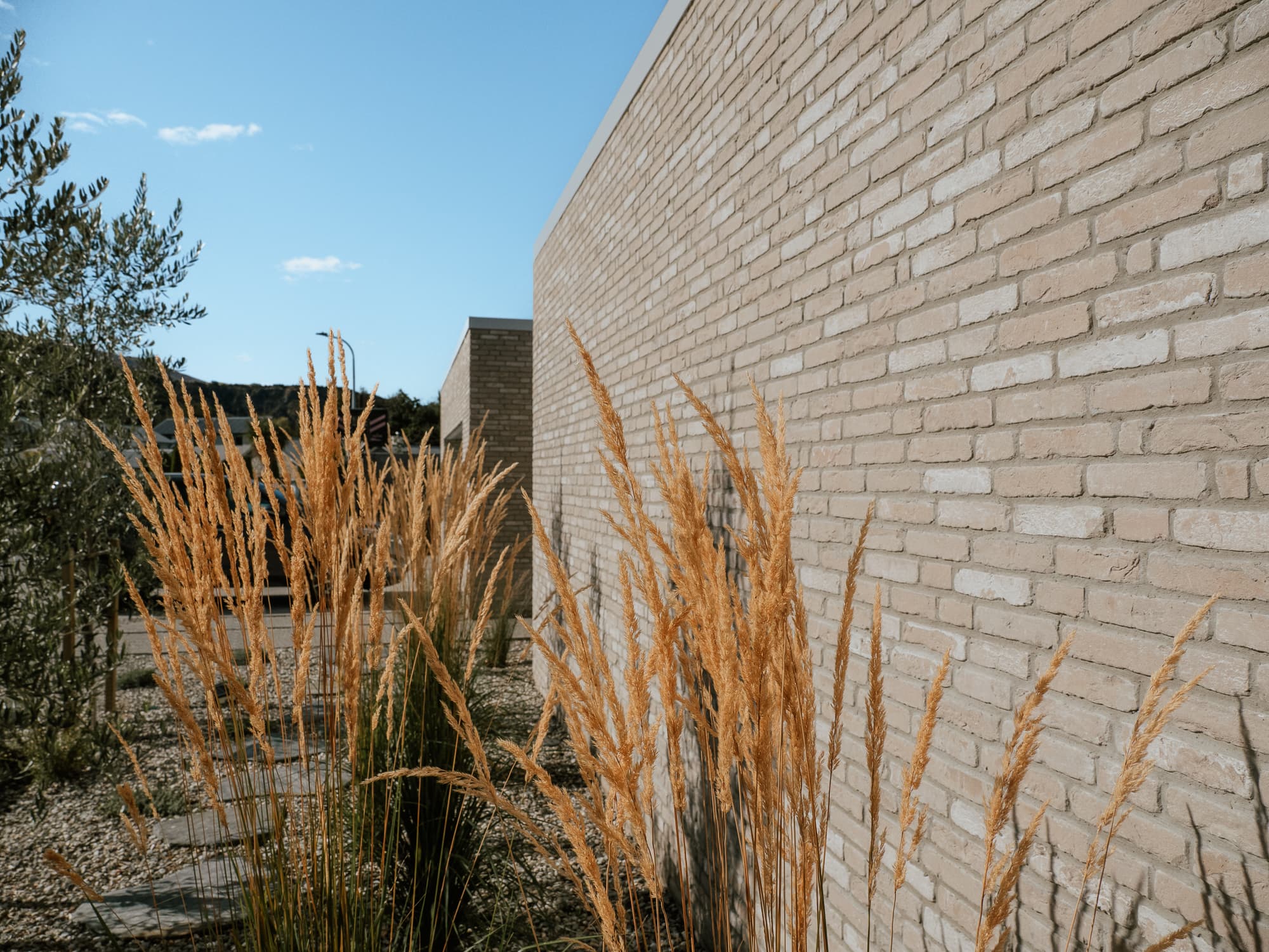 16 Advanced Terrace, Matthew Lucas Building